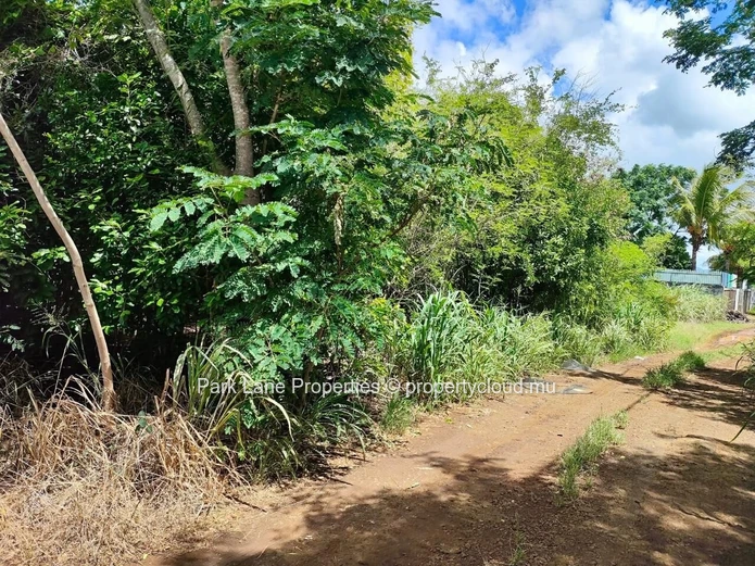 For Sale – 4,206 m² Residential Land in Petit Raffray