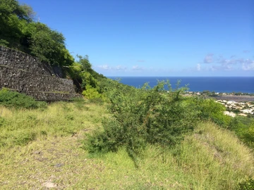 Residential Land