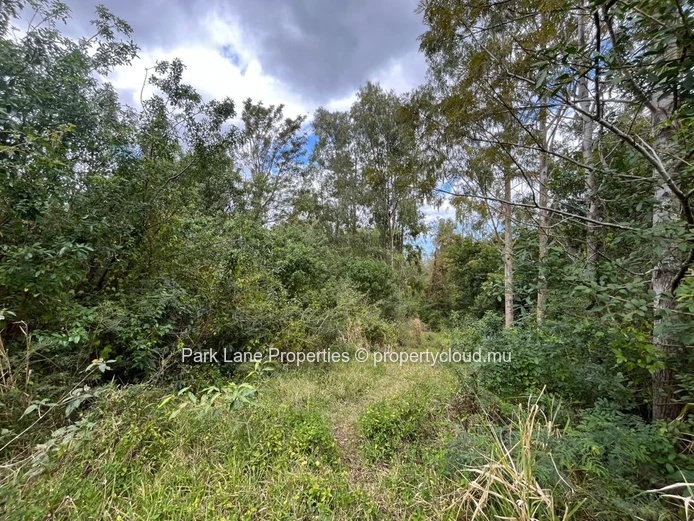 Agricultural land of 50 perches on the mountain