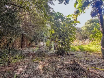 Residential Land