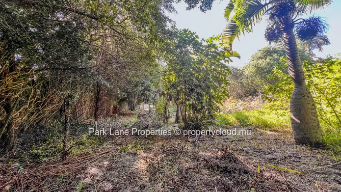 Prime development site in Floreal – 4,083 m² with dual access