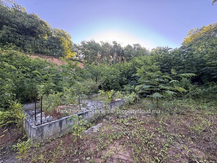 Agricultural plot for sale in Chamarel