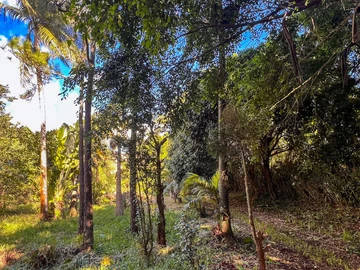 Residential Land