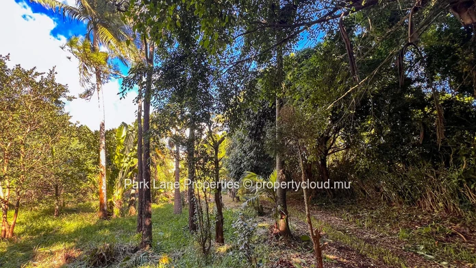 Prime development site in Floreal – 4,083 m² with dual access