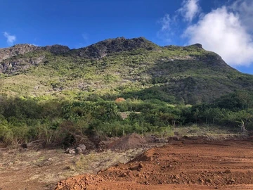Agricultural Land