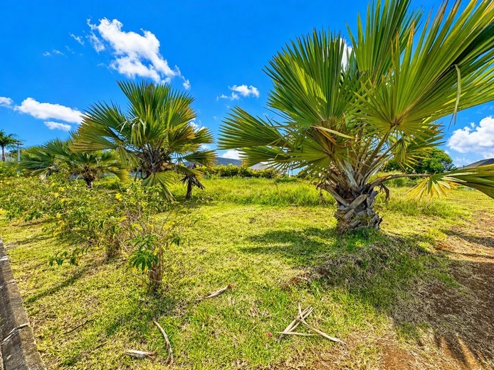 Residential land for sale in secure gated development – Pamplemousses