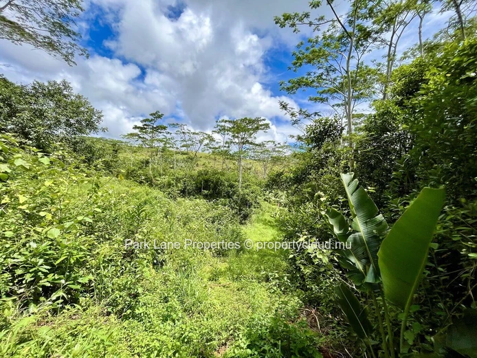 Terrain agricole à Chamarel