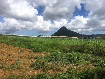 Agricultural Land