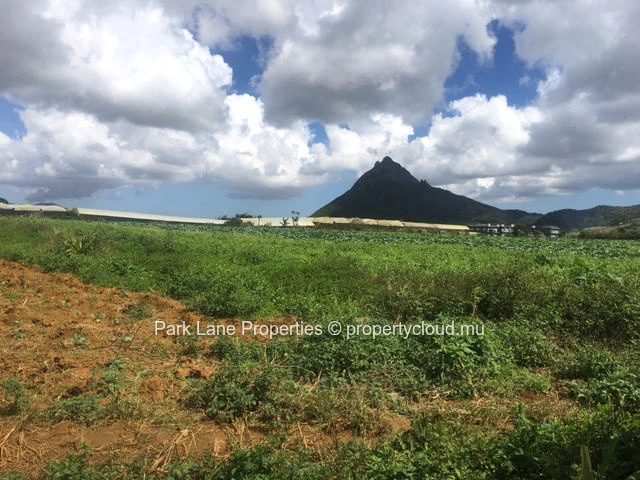Excellente opportunité d’investissement à Saint Pierre – Terrain agricole de 6 arpents