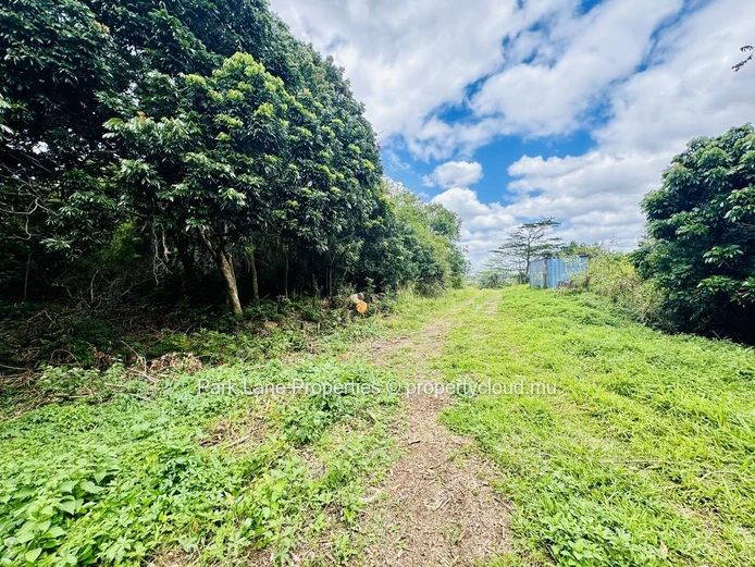 Agricultural land of 50 perches on the mountain