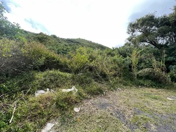 Agricultural Land