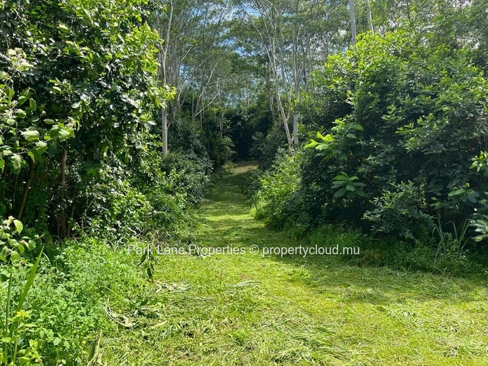 Terrain agricole à Chamarel