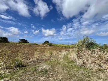 Agricultural Land