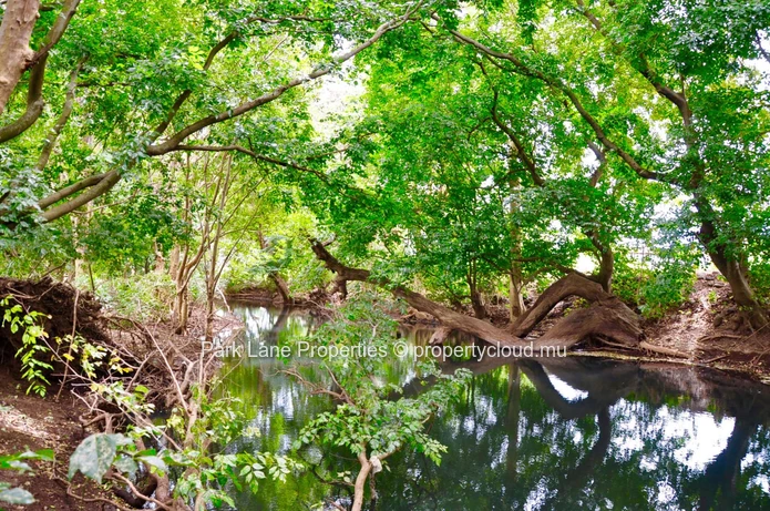 Land next to Beautiful River