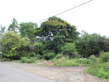 Residential Land