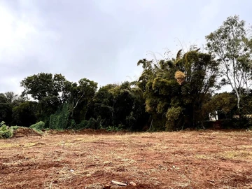 Residential Land