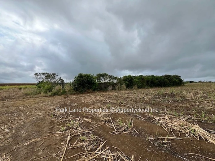 Potentiel de Transformation : Terres Agricoles de Trianon Près de l'Autoroute vers Verdun