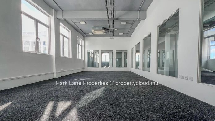Immeuble commercial de prestige – Opportunité d’investissement stratégique au cœur de Rose Hill