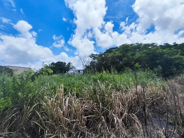 Residential Land