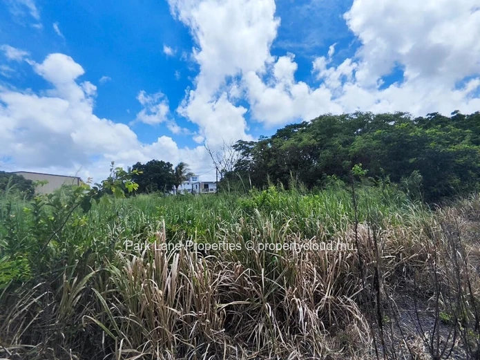 For Sale – 4,206 m² Residential Land in Petit Raffray