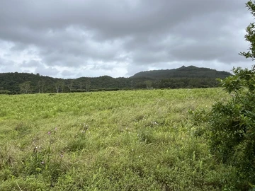 Residential Land