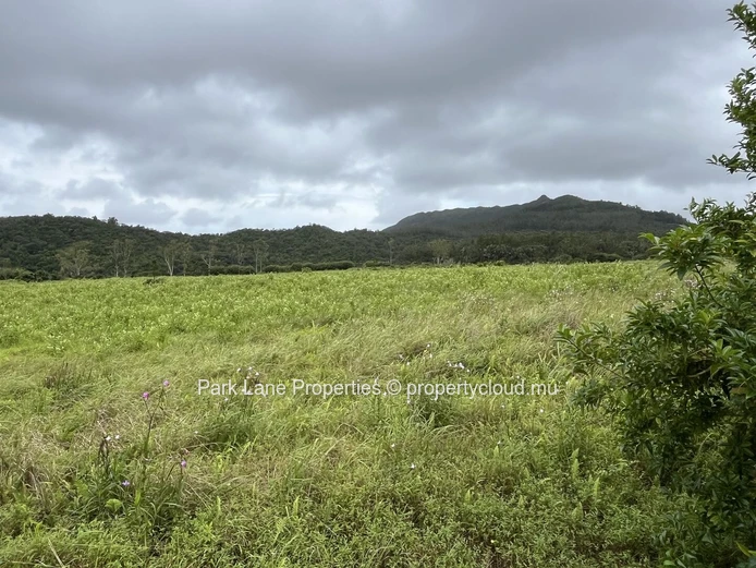 Remarkable Residential Plot within the Prestigious Avalon Golf Estate