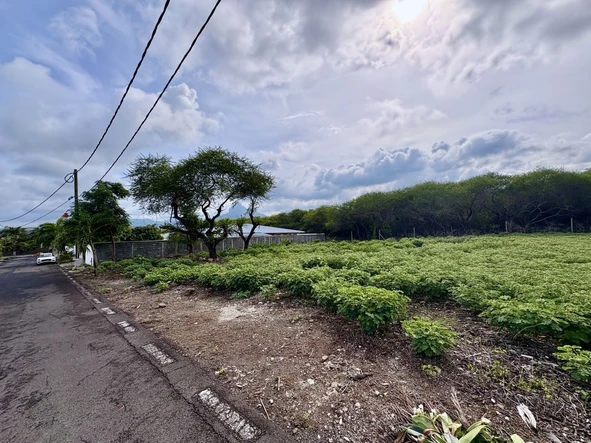 Residential Land