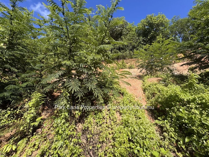 Agricultural plot for sale in Chamarel