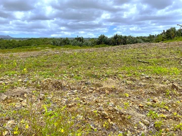 Agricultural Land
