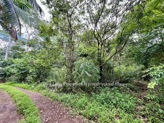 Chamarel - Paix, espace et beauté naturelle tout autour