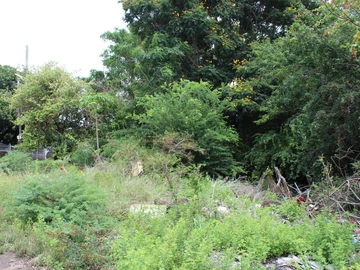 Residential Land