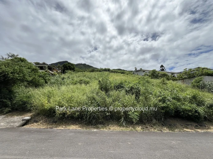 Prime Land in Plantation Marguery, Black River (Sole Mandate)