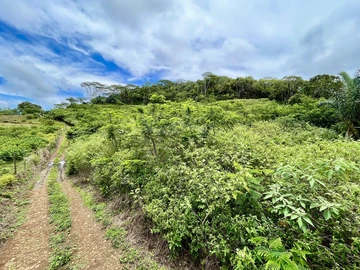 Agricultural Land