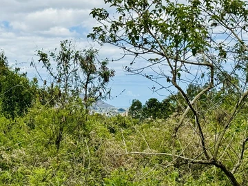 Agricultural Land
