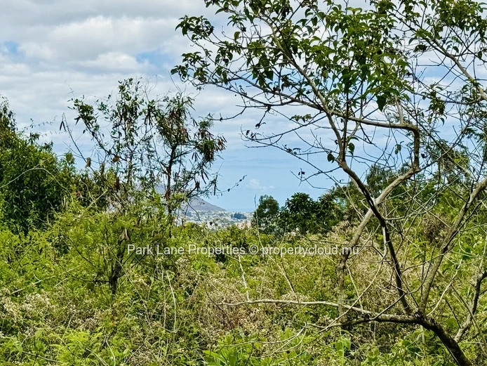 Terrain agricole à vendre à Moka