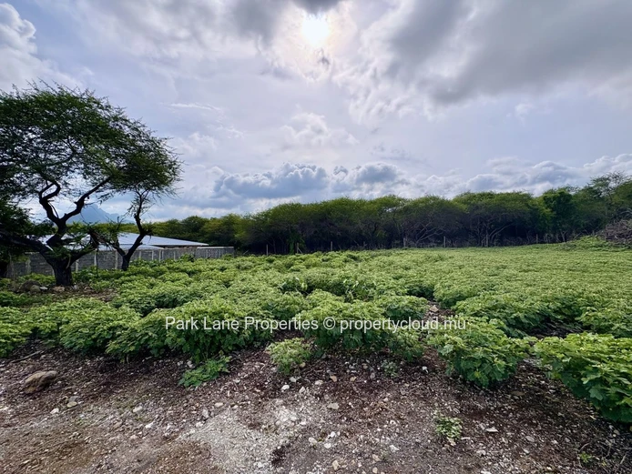 A Rare Opportunity to Build Your Dream Home in the Heart of Tamarin