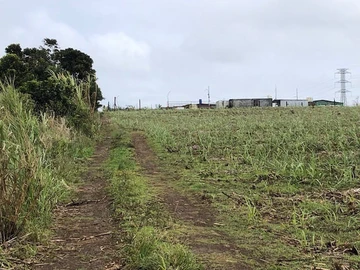 Agricultural Land