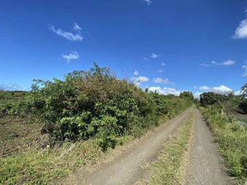 Agricultural Land