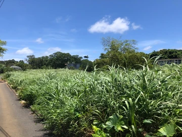 Residential Land