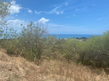 Residential Land