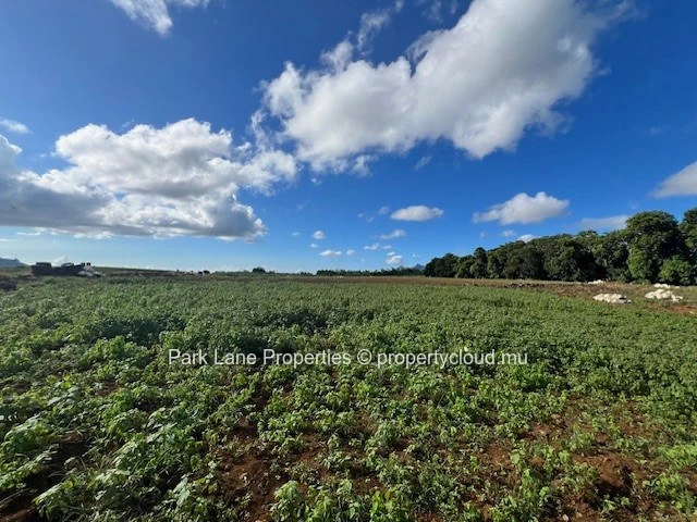 Exceptional investment opportunity: strategically located agricultural land in Valentina