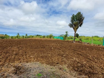 Agricultural Land