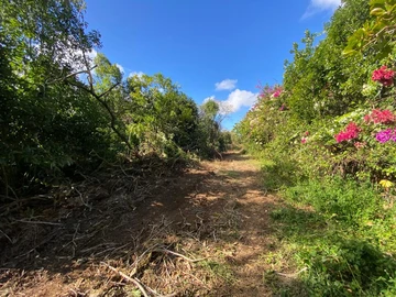 Residential Land
