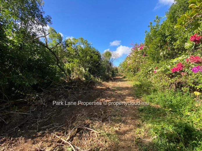 Beautiful plot of agricultural land with development possibilities! 