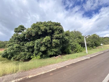 Residential Land