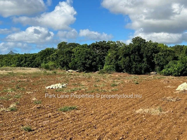 Exceptional investment opportunity: strategically located agricultural land in Valentina