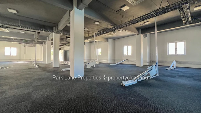 Professional office space with mezzanine in the heart of Rose Hill