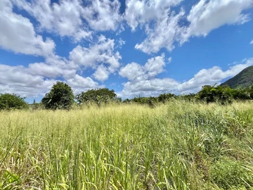 Residential Land