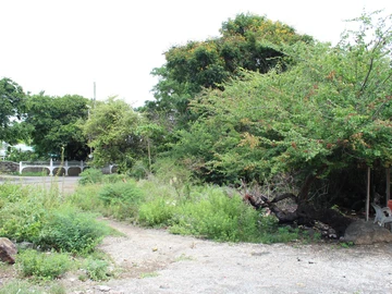 Residential Land