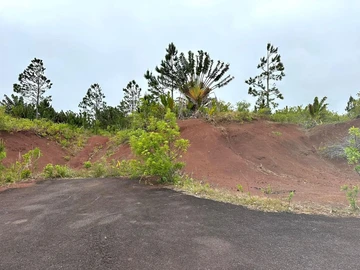 Agricultural Land
